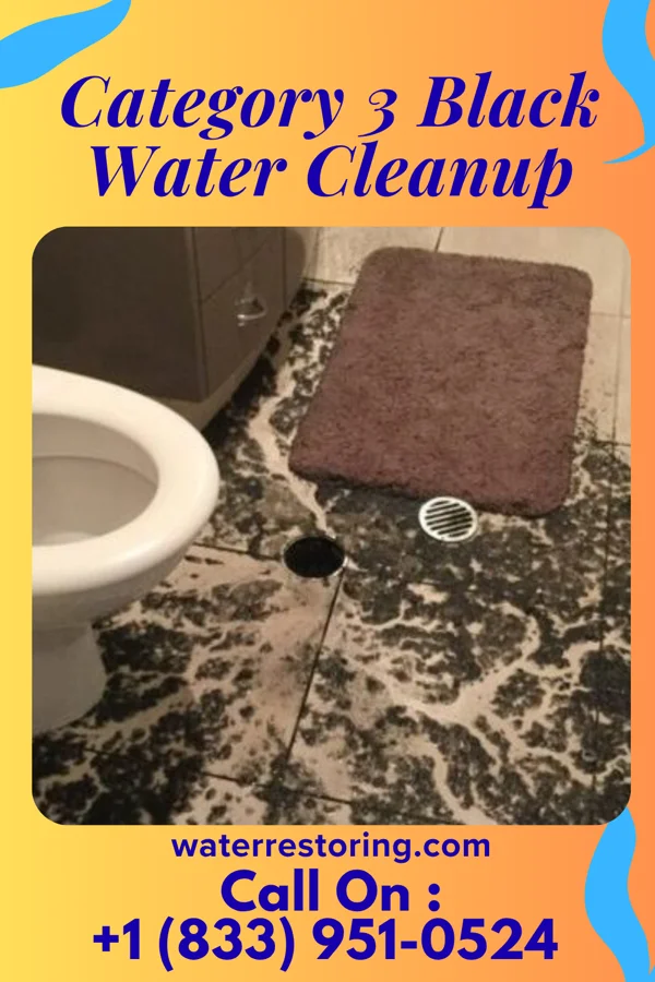 Category 3 Black Water Cleanup in Cove Neck, NY
