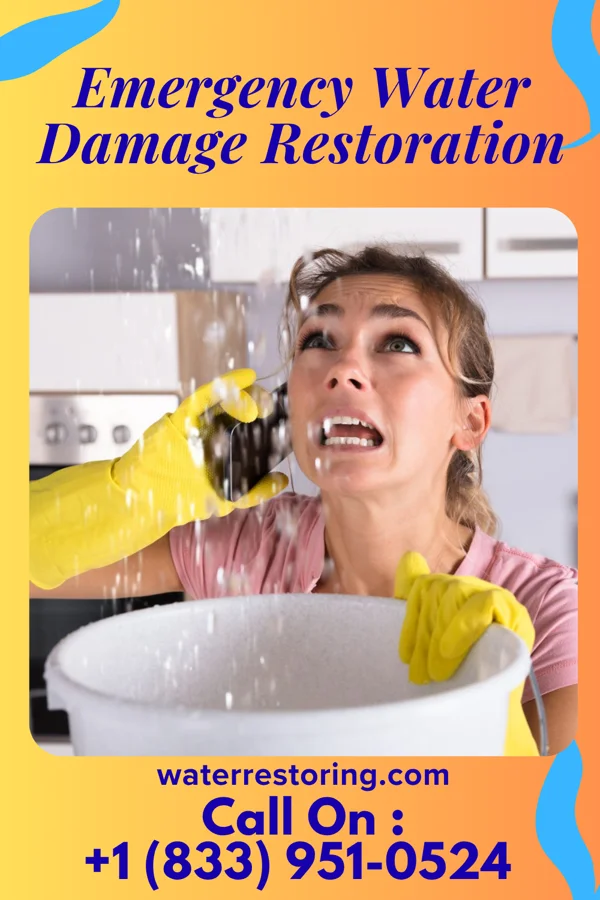 Emergency Water Damage Restoration in Cove Neck, NY