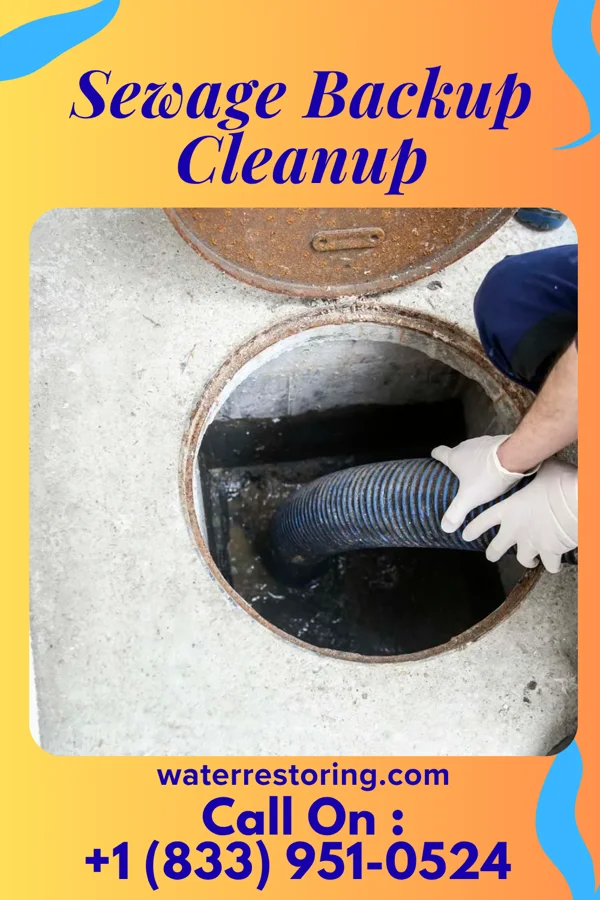 Sewage Backup Cleanup in Cove Neck, NY