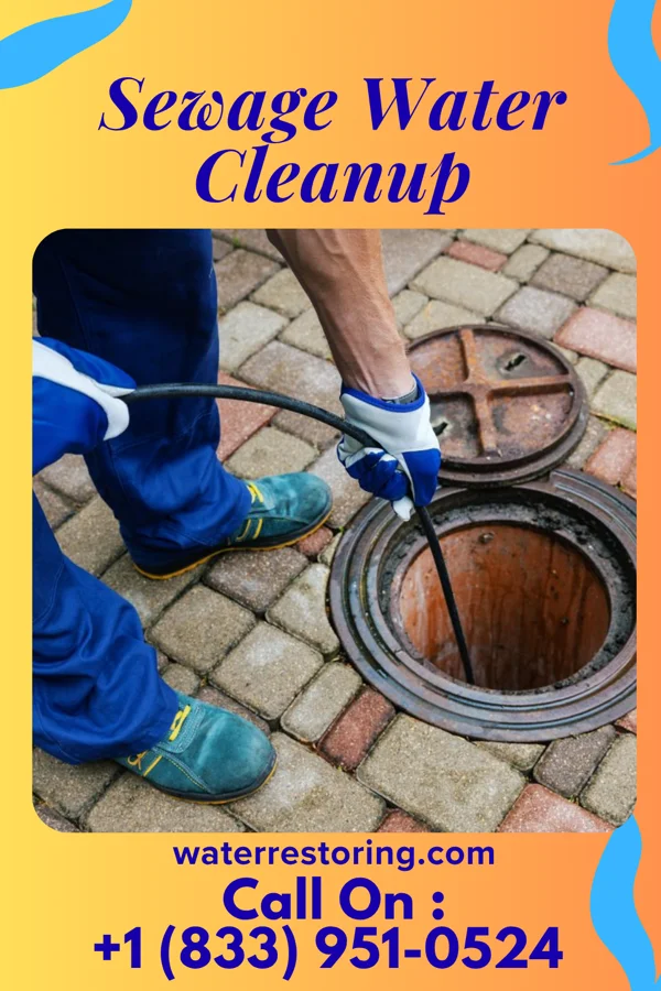 Sewage Water Cleanup in Cove Neck, NY